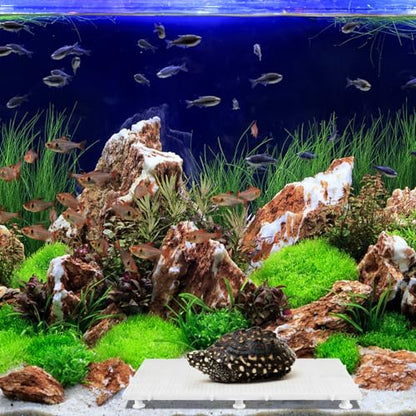 HEMOTON 1set Fish Tank Divider Board Reusable Aquarium Isolation for Fish Turtles and Amphibians Promotes Healthy and Water Circulation Support Non-Weighted Mesh Panel
