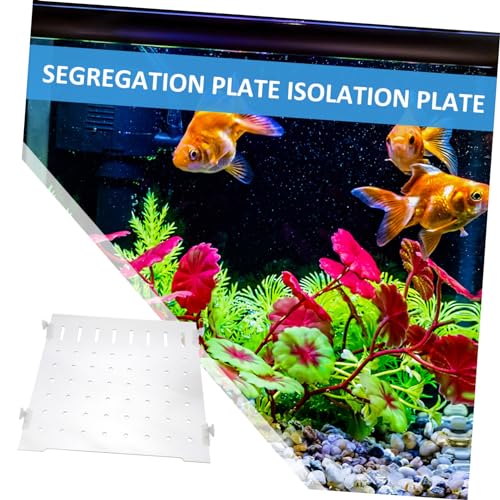 ORFOFE 1set Fish Tank Segregation Board Easy Install Isolation Plate for Mixed Breeding Fixed Clips Increases Fish Survival Rate by Separating Aggressive Species