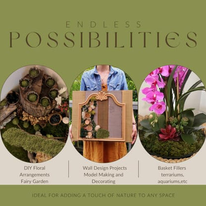 Fake Moss for Potted Plants Indoor, 2LBS Large Capacity Artificial Green Moss for DIY Crafts, Faux Moss for Table Centerpieces Fairy Garden Terrariums Decor (32OZ)