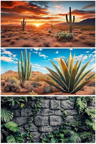 48X20IN 3 Pack Aquarium Terrarium Fish Tank Background, Reptile Habitat Bearded Dragon Tank Background, Polyester Black Rock Sun and Desert Cactus Terrarium Decor Wallpaper - size: 48X20in/120X50cm
