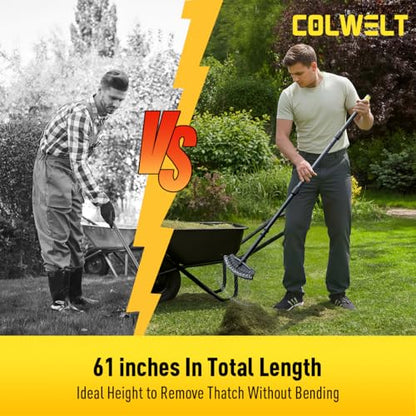 Thatch Rake, Dethatcher Rake with Thin, Curved Spring Steel Tines, Dethatching Thatching Rake for Lawns with 61’’ Steel Handle, Lawn Tine Rakes for Pine Needles, Dead Grass, Garden Debris