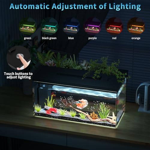 3.7 Gallon Betta Fish Tank self Cleaning,Smart Aquarium Aquarium kit with Filter Light Water Pump (Black)