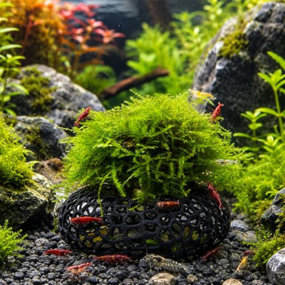 Shrimp Cave for Moss & Plants, 2-Pack Aquarium Hide for Neocaridina, Cherry & Dwarf Shrimp, Aquascape Decor for Ferns & Anubias, Black