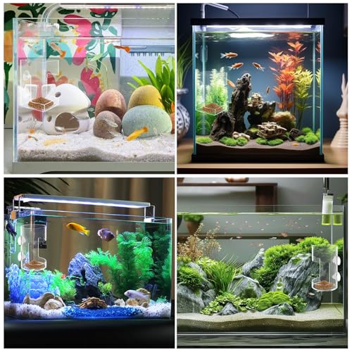 No Mess Aquarium Feeder Fish Tank Dish Tray Acrylic Clear Fishs Tank Feeder with Suction Cup, Round and Square Fishs Food Container Holder Dispenser 2.36x3.93 in for Turtle Shrimp Betta Feeding