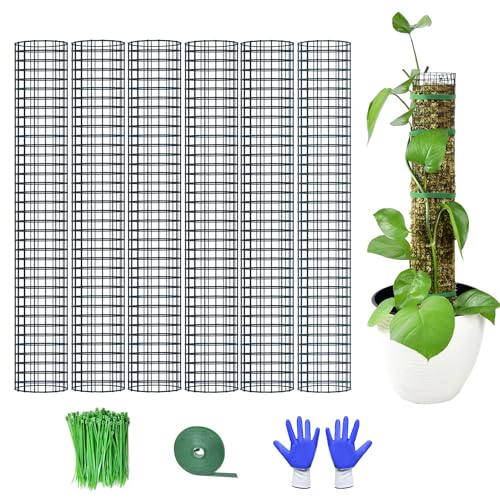6 Pack Metal Moss Pole, 24" Moss Poles for Plants Monstera, Stackable Sphagnum Moss Pole for Plants Work with Sphagnum Moss(6 Pack 24") - color: 6 Pack 24"
