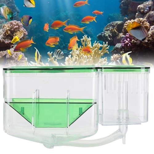 Aquarium Fish Tanks Breeding Box, Double - Layer Isolation Incubator for Injured Small Fish Shrimp, Newborn Fish Spawning Box with Connection Tube and Fixing Bracket, Safe Breeding