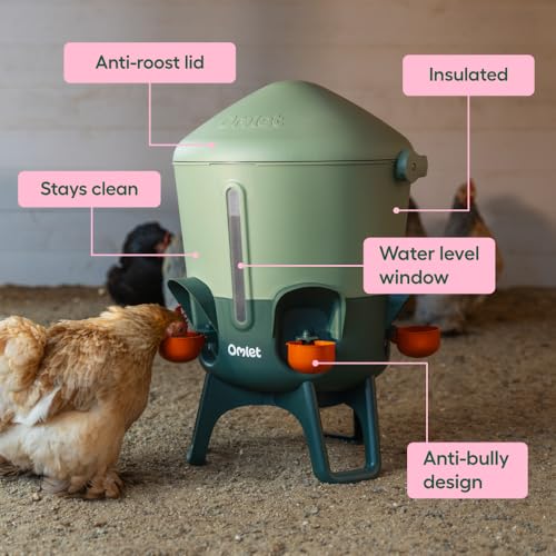 Omlet Insulated Chicken Waterer, 3 Gallon | Stay-Clean Automatic Water Dispenser for Chickens | BPA-Free | Anti-Roost Domed Lid | Includes 5 Cups & Nipples | Sage Green - color: Sage Green, size: 3 Gallon