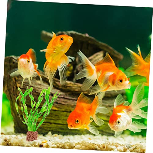 10Pcs Durable Fixed Ring for Water Plants Creative Pottery Decor Holder for Fish Tank for Aquatic Plant Cultivation and Freshwater Landscape Decoration