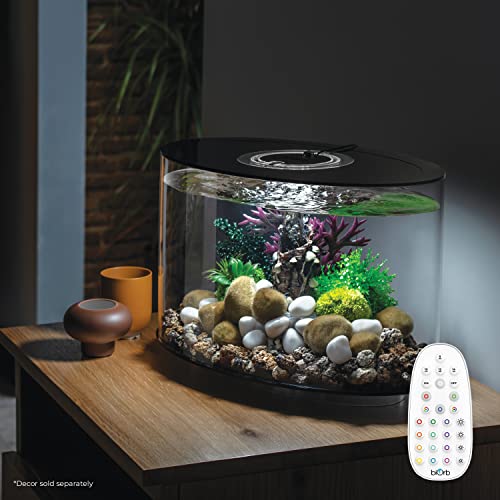 biOrb Loop 15 Acrylic 4-Gallon Aquarium with Multi-Color Remote-Controlled LED Lights Modern Compact Tank for Tabletop or Desktop Display, Black-Trimmed Tank