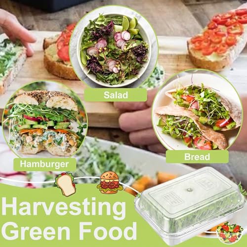 Sprouts Growing Acrylic lid for 2-Tier 10.4 inch Trays, Microgreens Growing lid, Seed Sprouting Sprouts for Beans Alfalfa Broccoli Wheat Grass - size: 10.7"L × 7.87"W × 2.17"H Lid
