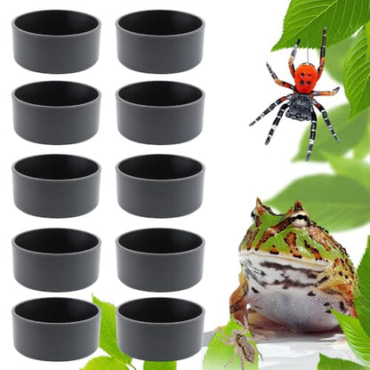 10 Pcs Small Reptile Water Bowl Food Dish Feeding Bowl for Spider Gecko Lizard Horned Frog Turtle Snake (Black)