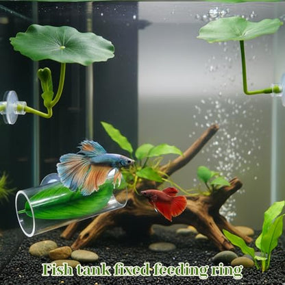 CZFSWT 4PCS Betta Hammock Set, Betta Tank Accessories, Fish Hammock Suitable for Fish Farmers, Aquarium Enthusiasts and First-Time Breeders