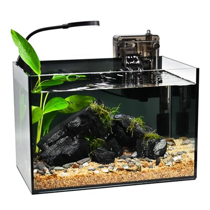 Fish Tank,2.8 Gallon Small Aquarium Kit,Glass Small Fish Tank,Betta Fish Tank with Light and Filter, Small Transparent Glass Fish Tank with Light and Filter