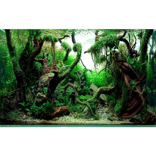 Freshwater Aquarium Background Jungle Style Aquascape Microsorum Trident Various Rotalas Anubias Fish Tank Background Aquatic Plants Frodo Stones and Redmoor Roots Terrarium Background 24x12in - color: Root Green, size: 24(W)x12(H)in