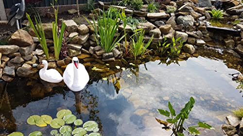 Pond H2o 8" (20cm) Round Water Garden Aquatic Plastic Mesh Pond Plant Flower Basket, Value 2 Pack, Planting Lily Pot Bin, Slotted Mesh Net Planter Pots Baskets Aquaponics, Hydroponics