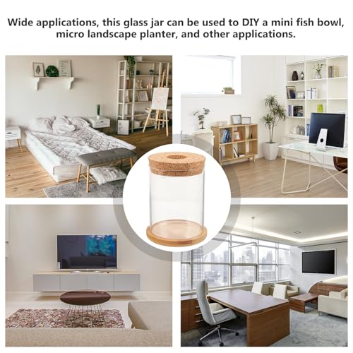 Glass Fish Bowl with Mat, Small Hydroponic Terrarium Container for Desktop Decor and Goldfish, 8x10cm Tabletop Aquarium for Home and Office