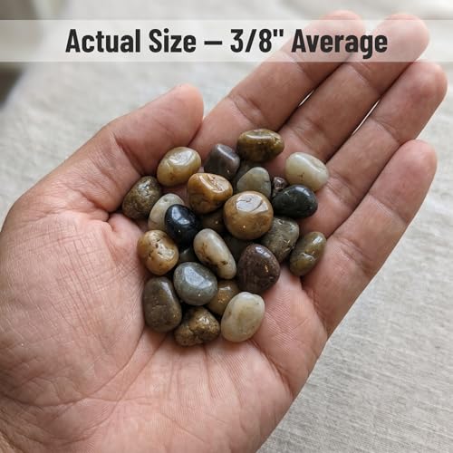Midwest Hearth Decorative Mixed Pebbles for Plants & Terrariums | Polished Natural Stones | 3/8" Size (5-lb Bag)