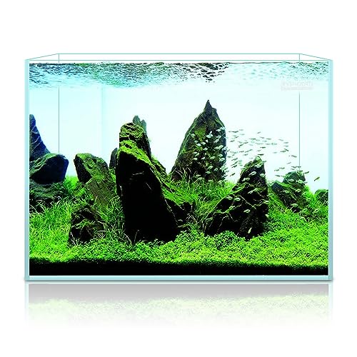 3.5 Gallon Rimless Aquarium, Ultra Clear Low Iron Nano Fish Tank for Betta Shrimp, L15×W5.5×H9.8 Glass Thickness 5mm with EVA Foam Leveling Mat - size: 3.5 Gallons