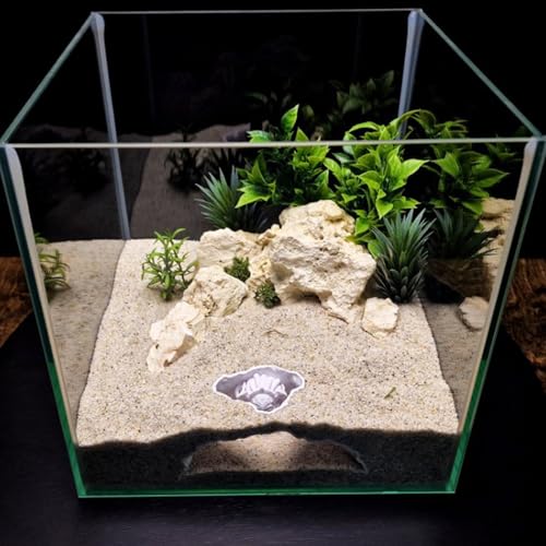 Medusa Fish Tanks Ornaments Unique Snake Themed Shrimp Hide Houses & Breeding Observation Medusa Fish Tanks - color: Sandy Yellow, size: Medium