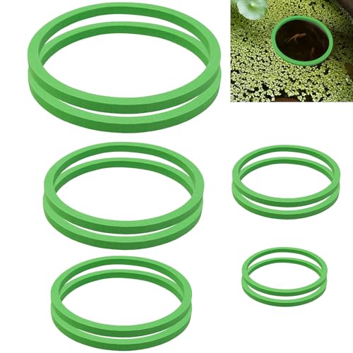 10Pcs Aquarium Floating Plant Rings and Fish Feeding Rings,Aquarium Floating Plant Corral,Floating Plant Rings Keep Your Plants in Place,Can Be Used to Framed and Frameless Aquariums (Green)