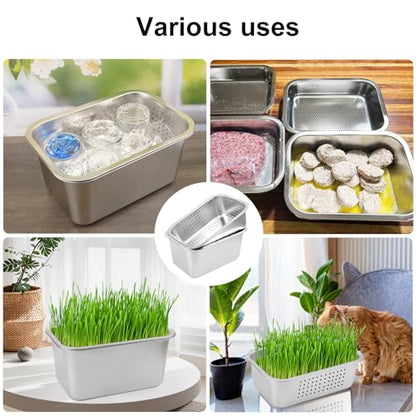2 Set (4 Pack) Stainless Steel Sprouting Tray, 13 x 9 inches Stainless Steel Germination Trays for Indoor Microgreens, Broccoli Sprouts & Wheatgrass - size: 2 Set Silver