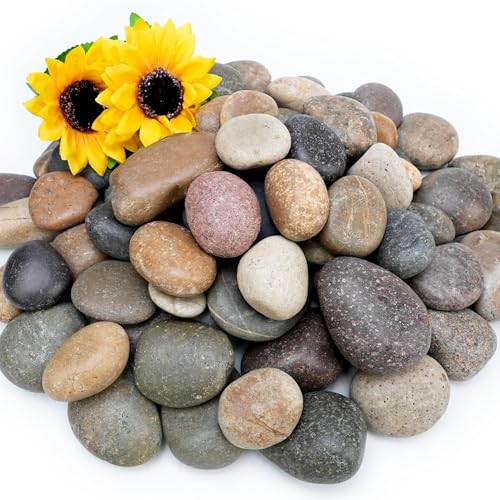 30lb Mexican Beach Pebbles, 2-3" Large River Rocks for Landscaping, Smooth Garden Rocks for Outdoor Paving, Natural Pebbles for Indoor Plants, Decorative Stones for Planters, Fish Tank, Fountai - color: Mixed, size: 2-3", 30lb