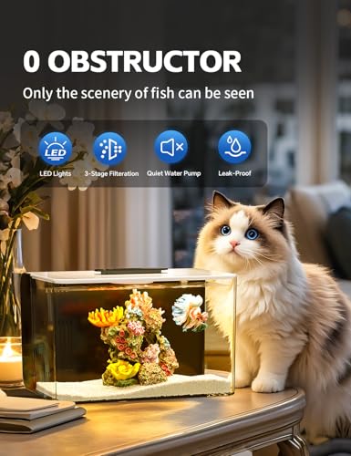 Betta Fish Tank, 2.5 Gallon Aquarium Kit with Modular Filtration, Heater, Light, Self Cleaning, Oxygenation, Small Fish Tank for Guppy, Shrimp - color: Black with Heater