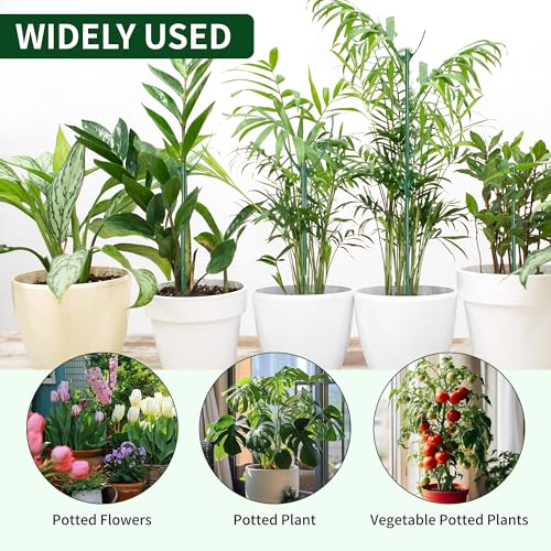 10 Pack Stackable Plant Support Stakes - Climbing Support for Indoor & Outdoor Use - Garden Accessories for Monstera, Pothos, Philodendron - Aesthetic Alternative to Moss Poles & Trellises
