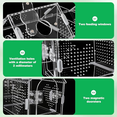 Jumping Spider Enclosure-Large Size Dual Space Tarantula Enclosure,Acrylic Side Door Double Feeding Port Spider Terrarium for Spider,Praying Mantis,Snail,Micro Reptile(12" L*3.6" W*6" H)