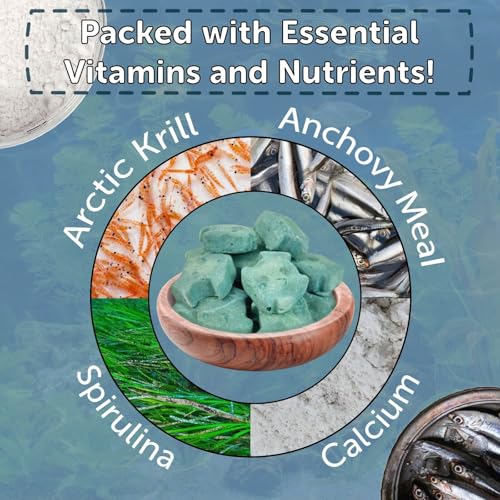 Spirulina Enriched Calcium Feeders for Shrimp, Snails, Crabs, Crayfish, Pleco, Catfish, All Tropical Fish…50 Count Bag