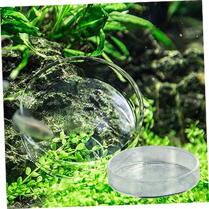 1pc Glass Shrimp Dish for Small Fish Feeder Bowl for Aquatic Pets and Reptiles Aquarium Aesthetics