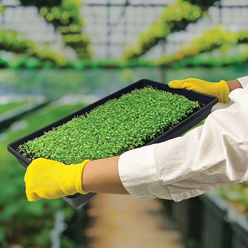 10 Plant Growing Trays (No Drain Holes) - 20" x 10" - Perfect Garden Seed Starter Grow Trays: for Seedlings, Indoor Gardening, Growing Microgreens, Wheatgrass & More - Soil or Hydroponic - size: No drain holes