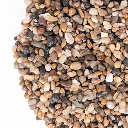 Drainage Pebbles for Indoor Plants, 1/5 Inch Small Rocks for Potted Plants, Decorative Pebbles for Succulent, Cactus, Crafts, Bamboo, Pea Gravel for Landscaping, Aquarium, Fish Tank, 5lbs - size: 5lb, style: 1/5inch