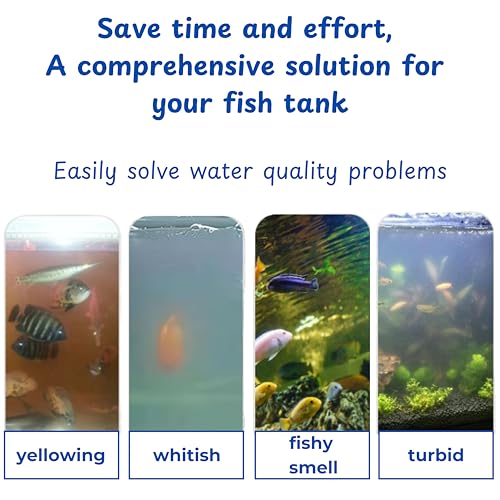 Betta Fish Exercise Ring and Filter Balls Set, Fish Feeder Ring and Nitrifying Ball, Betta Fish Toys for Small Tank, Betta Ring, Beta Fish Training Loop, Aquarium Toys for Pets Turtle (Green, M-70mm)