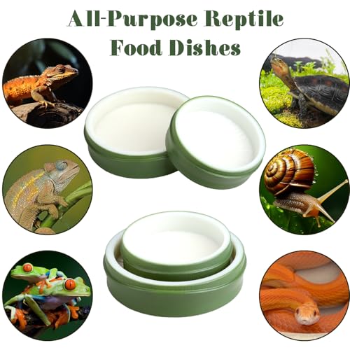 4 Pack Snail Water and Food Bowl with Tweezers, Shallow Feeder Dish for Terrarium Kit, 0.4-0.8 Inch Depth Enclosure Accessories for Hermit Crab and Reptiles