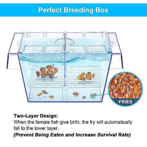 Fish Breeding Box Aquarium Holding Tank Transparent Fish Isolation Box Acclimation Hatchery Incubator Breeder for Betta Shrimp Clownfish Guppy