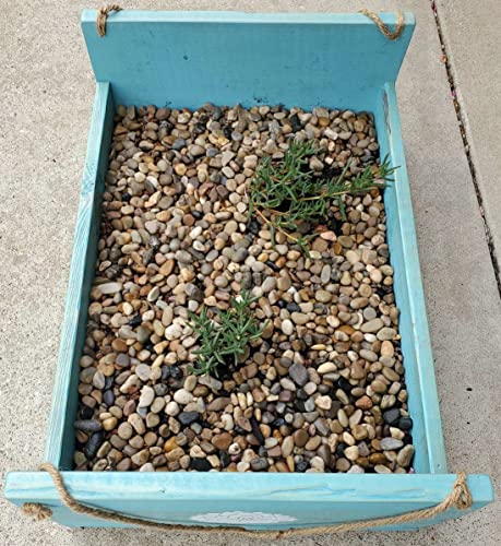 Voulosimi 12 LBS River Rock Stones, Natural Decorative Polished Mixed Pebbles Gravel,Outdoor Decorative Stones for Plant Aquariums, Landscaping, Vase Fillers - size: 12 LB