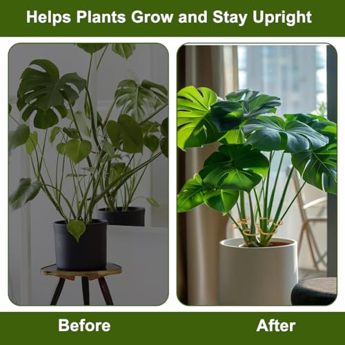 4 Pack Monstera Plant Stem Supports, Metal Garden Support for Climbing Plants, Iron Stem Holder for Monstera, Pothos, Vine – Indoor Plant Climbing for Home Garden - size: B