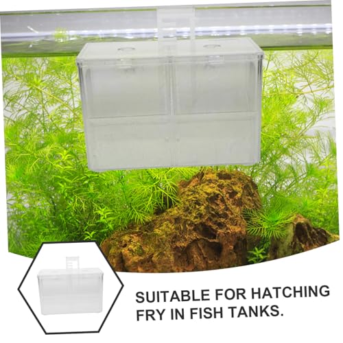 BESPORTBLE Fish Breeding Box Cups Divider for Aquarium Fish Isolation for Acclimation and Incubation