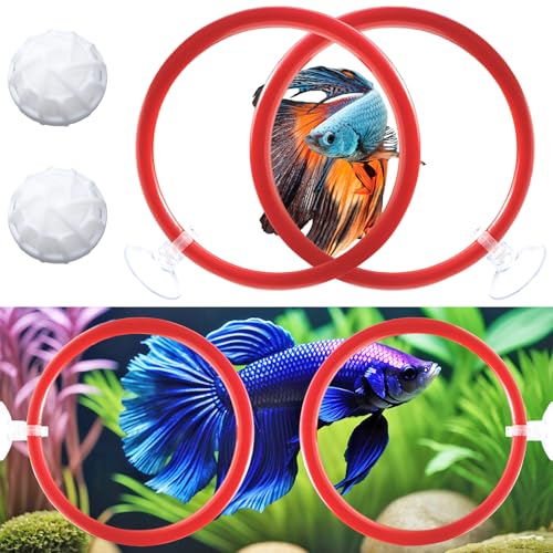 Betta Fish Toys - 4 Training Rings & 2 Bio Filter Balls, Beta Exercise Loop Toys and Nitrifying Balls Set, Betta Fish Tank Accessories Feeding Ring for Small Tank Decor Aquarium Water Conditioner - color: Red