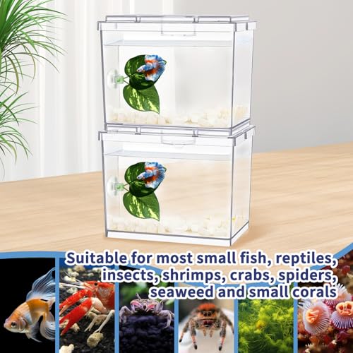 Mini Betta Fish Tank, Small Fish Bowl for Temporary Space, 0.2 Gallon Stackable Cube Tank with Betta Leaf and Gravels for Small Fish, Insect, Shrimp, Crab, Spider.(Pack-2)