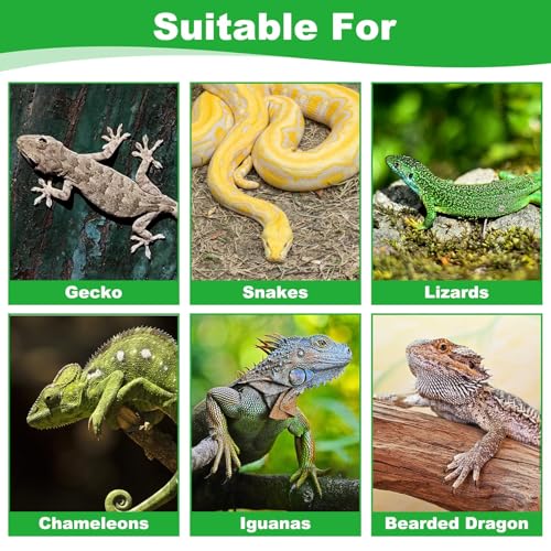 Reptile Carpet, Natural Moss Mat for Terrarium, Bearded Dragon Tank Flooring Green Substrate Liner for Leopard Gecko Hermit Crab Lizard Tortoise (47.24" X 11.81")