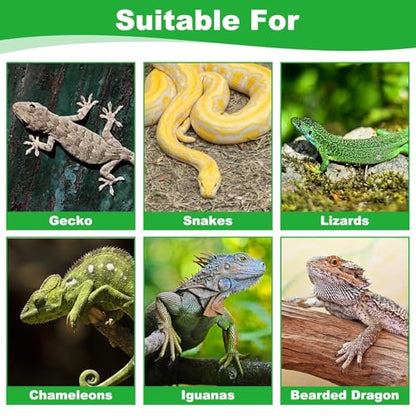 Reptile Carpet, Natural Moss Mat for Terrarium, Bearded Dragon Tank Flooring Green Substrate Liner for Leopard Gecko Hermit Crab Lizard Tortoise (47.24" X 11.81")