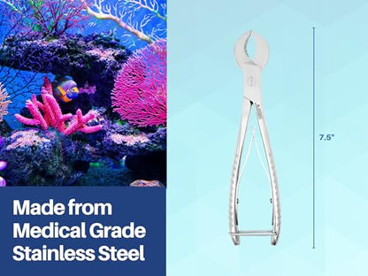 Coral Cutters 7.5" Crescent Style Heavy Duty Medical Grade Stainless Steel Fragging Tool for Reef & Marine Aquariums, Precision Coral Trimmer for SPS & LPS Corals