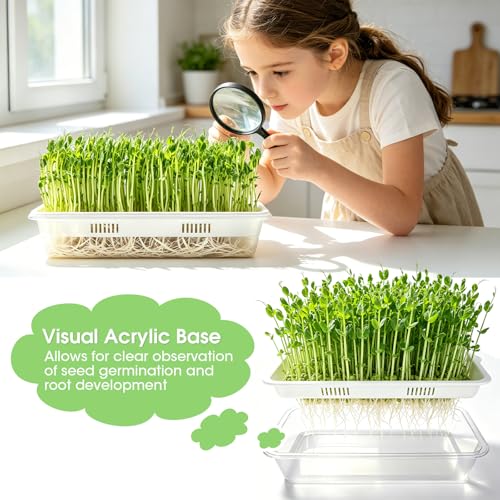 3 Pack Hard Acrylic Microgreens Growing Trays, Visual Soilless Sprouting Kit with Silicone Mats & Spray Bottle, Seed Germination Tray for Wheatgrass, Cat Grass & Vegetables