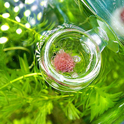 Aquarium Feeder, Transparent Suction Cup Fishes Feeding Cup Food Container for Feeding Shrimp Fish(Glass Hole Cup)