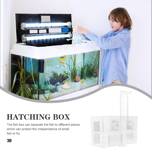 BESPORTBLE Fish Breeding Hatchery Box with Hooks, Aquarium Isolation Nursery Tank, Dual-Chamber Incubator for Tropical Fish Fry and Guppy Breeding in Home Aquariums