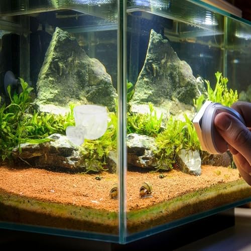 2pcs Aquarium Fish Food Feeder Cups with Suction Large and Small Acrylic Fish Feeding Containers for Chilled Bloodworm and Brine Shrimp for Aquarium Feeding
