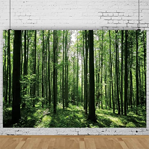 Jungle Forest Photography Backdrop 8x6ft Green Rainforest Sunlight Grassland Wonderland Nature Landscape Background for Spring Adventure Camping Hiking Theme Party Decoration Banner Photoshoot Prop - size: 8x6ft