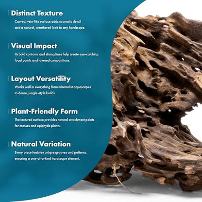 Natural Aquarium Driftwood for Fish Tanks, Terrarium, Reptile Habitats, Freshwater Aquatic Decor - Small to Large Pieces (Dragon Wood (Medium) 6-12", 5 Pieces) - size: 5 Pieces